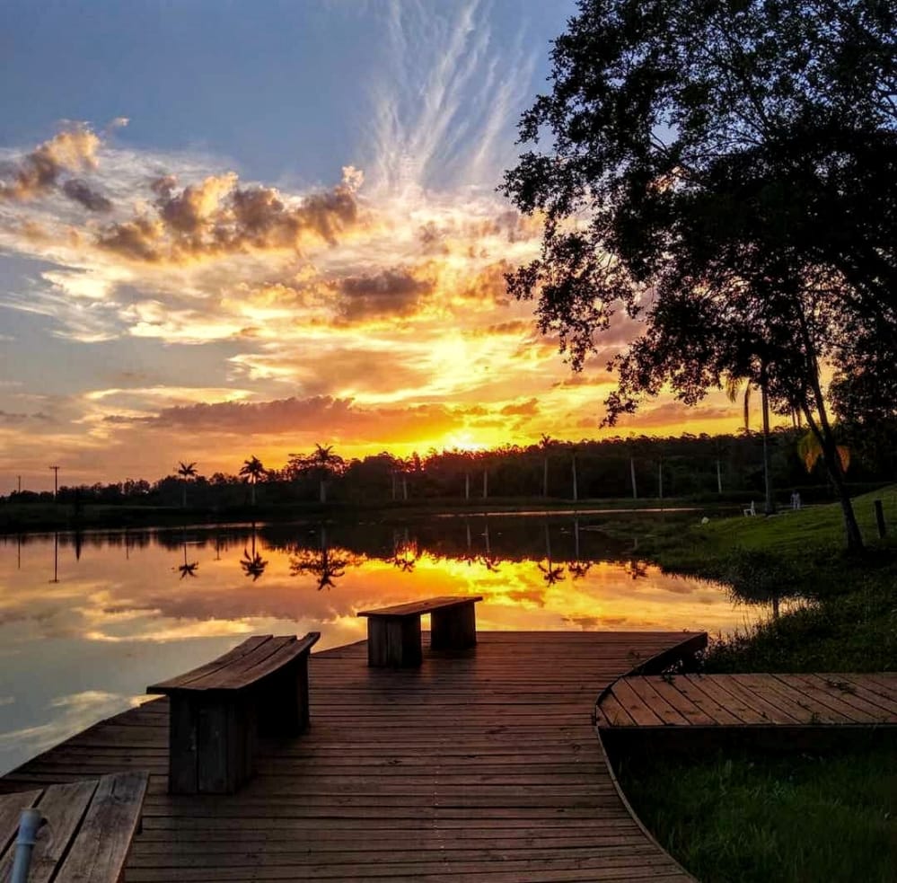 Momentum E-commerce Screenshot 2