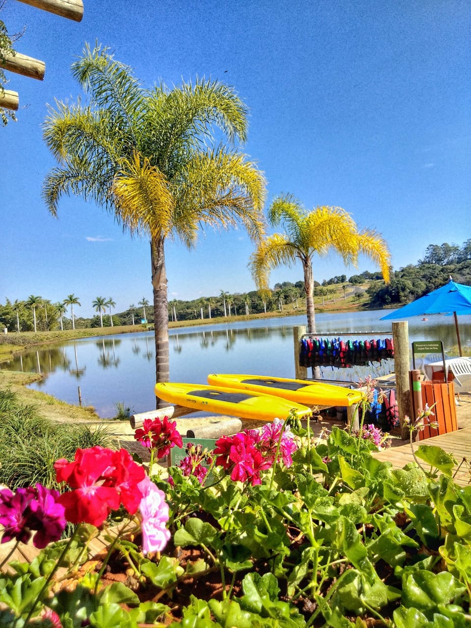 Momentum E-commerce Screenshot 3